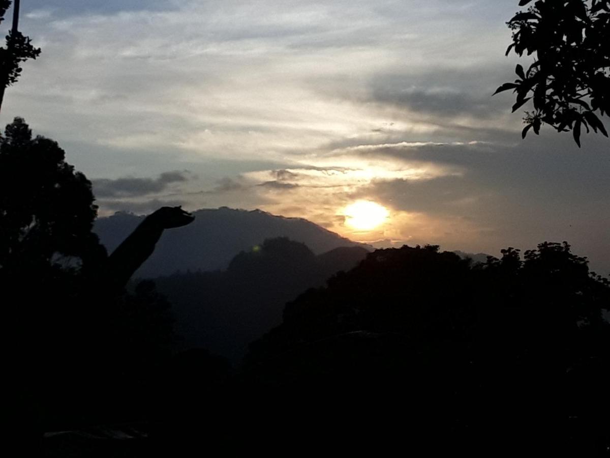 Dimuthu Home Stay Ella Luaran gambar