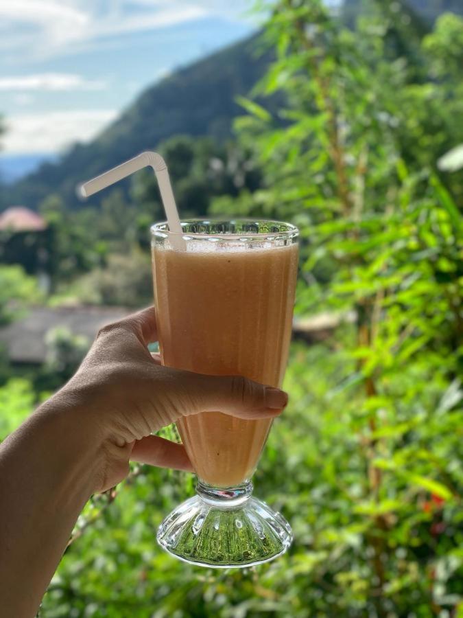 Dimuthu Home Stay Ella Luaran gambar