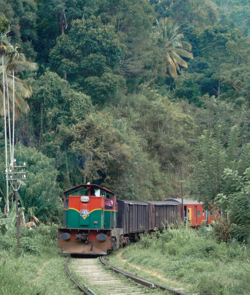 Dimuthu Home Stay Ella Luaran gambar